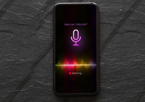 Local Businesses Are Interested in Voice, But So Far on the Sidelines